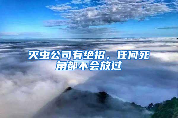 滅蟲公司有絕招，任何死角都不會放過
