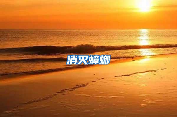 消滅蟑螂