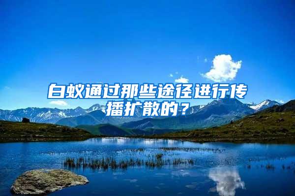 白蟻通過那些途徑進行傳播擴散的？