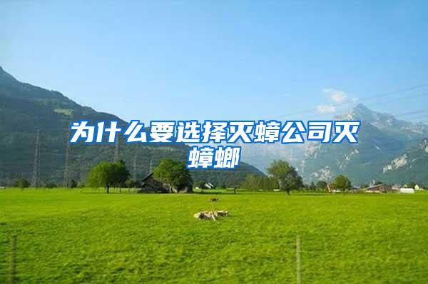為什么要選擇滅蟑公司滅蟑螂