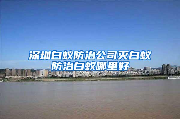 深圳白蟻防治公司滅白蟻防治白蟻哪里好