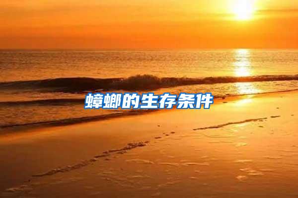 蟑螂的生存條件