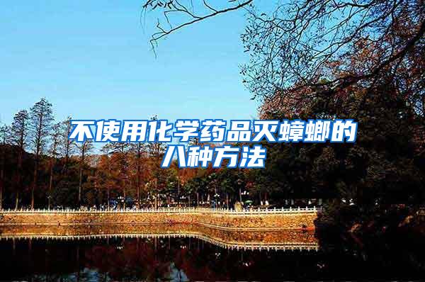 不使用化學藥品滅蟑螂的八種方法