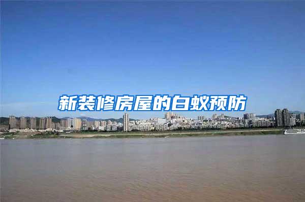 新裝修房屋的白蟻預(yù)防