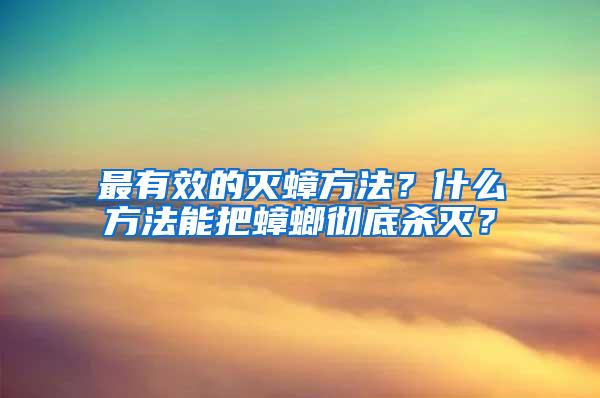 最有效的滅蟑方法？什么方法能把蟑螂徹底殺滅？