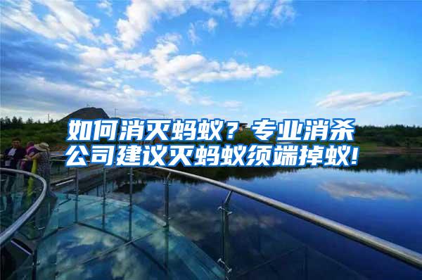 如何消滅螞蟻？專業(yè)消殺公司建議滅螞蟻須端掉蟻!
