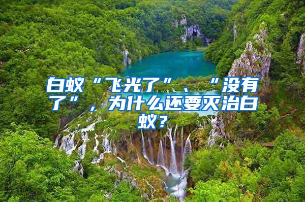 白蟻“飛光了”、“沒有了”，為什么還要滅治白蟻？