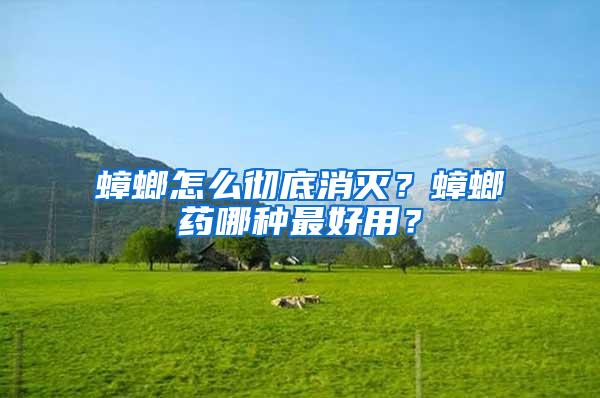 蟑螂怎么徹底消滅？蟑螂藥哪種最好用？