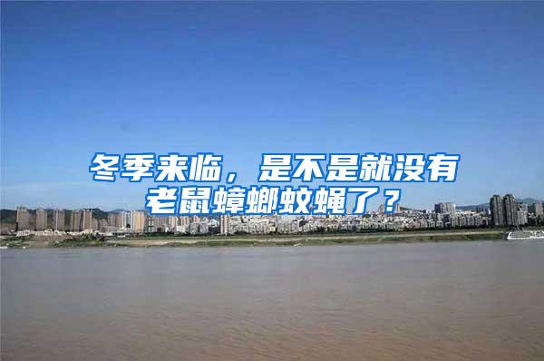 冬季來臨，是不是就沒有老鼠蟑螂蚊蠅了？