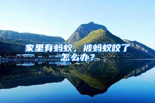 家里有螞蟻，被螞蟻咬了怎么辦？