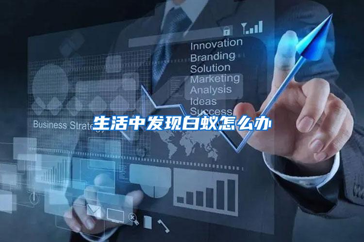 生活中發現白蟻怎么辦