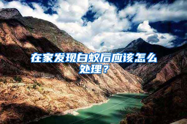 在家發現白蟻后應該怎么處理？