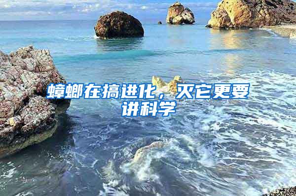 蟑螂在搞進化，滅它更要講科學