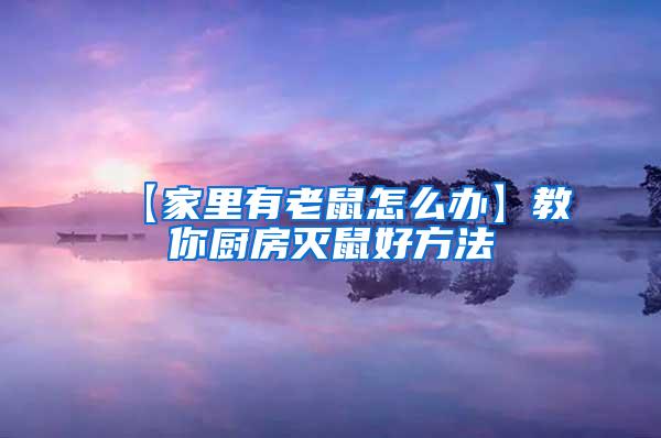 【家里有老鼠怎么辦】教你廚房滅鼠好方法