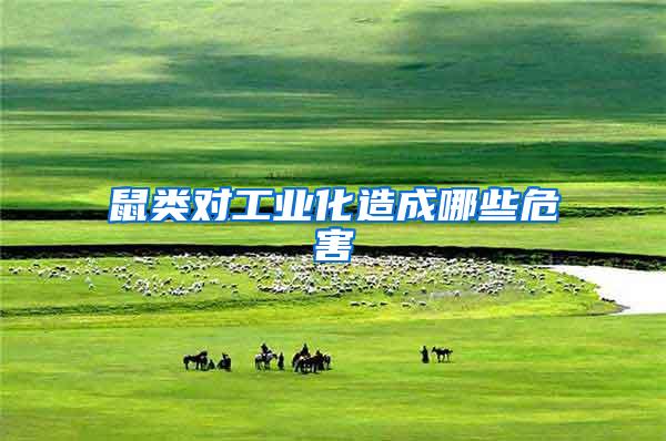 鼠類對(duì)工業(yè)化造成哪些危害