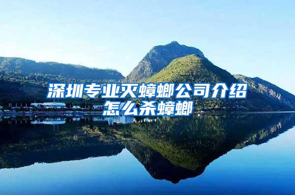 深圳專業滅蟑螂公司介紹怎么殺蟑螂