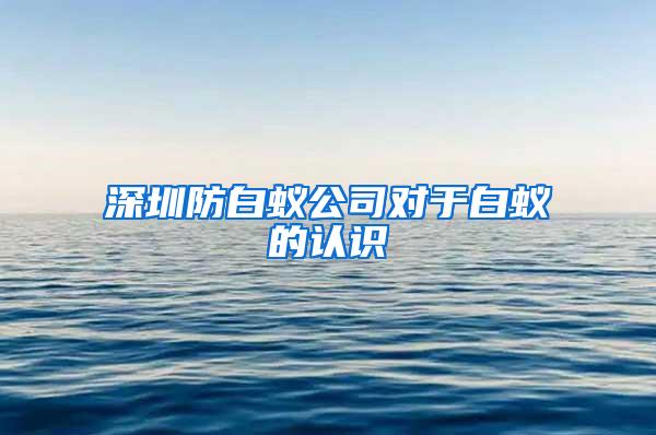 深圳防白蟻公司對于白蟻的認識