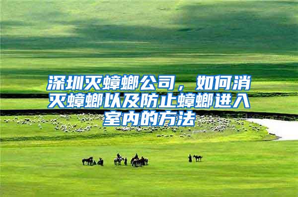 深圳滅蟑螂公司，如何消滅蟑螂以及防止蟑螂進入室內(nèi)的方法