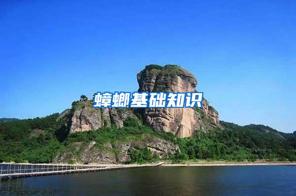蟑螂基礎知識