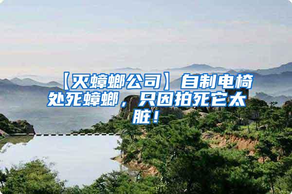 【滅蟑螂公司】自制電椅處死蟑螂，只因拍死它太臟！