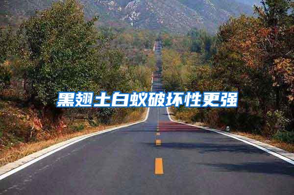 黑翅土白蟻破壞性更強