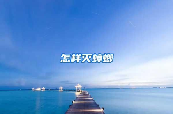 怎樣滅蟑螂