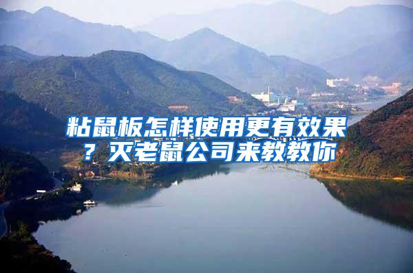 粘鼠板怎樣使用更有效果？滅老鼠公司來教教你