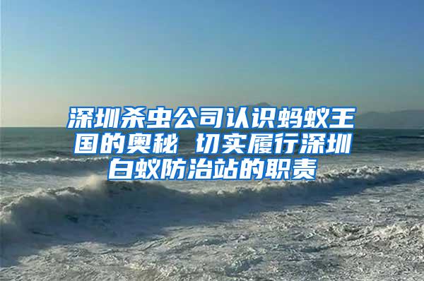 深圳殺蟲公司認(rèn)識(shí)螞蟻王國(guó)的奧秘 切實(shí)履行深圳白蟻防治站的職責(zé)