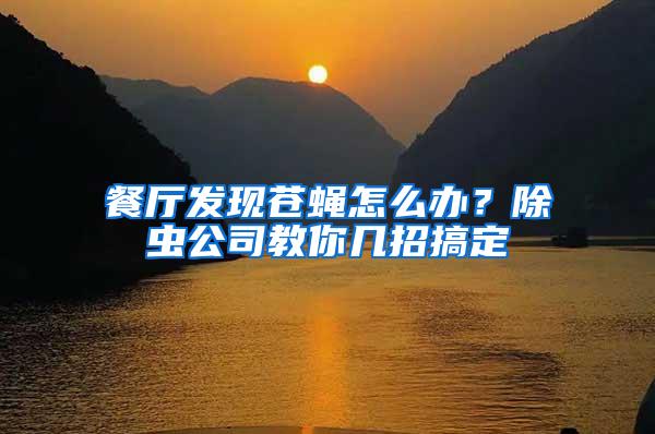 餐廳發(fā)現(xiàn)蒼蠅怎么辦？除蟲公司教你幾招搞定