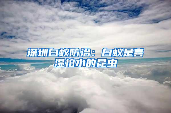 深圳白蟻防治：白蟻是喜濕怕水的昆蟲
