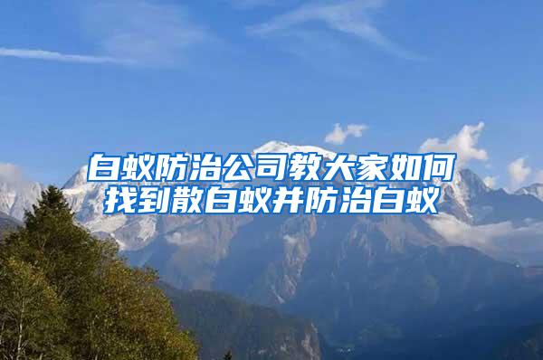 白蟻防治公司教大家如何找到散白蟻并防治白蟻