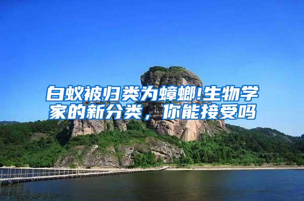 白蟻被歸類為蟑螂!生物學家的新分類，你能接受嗎