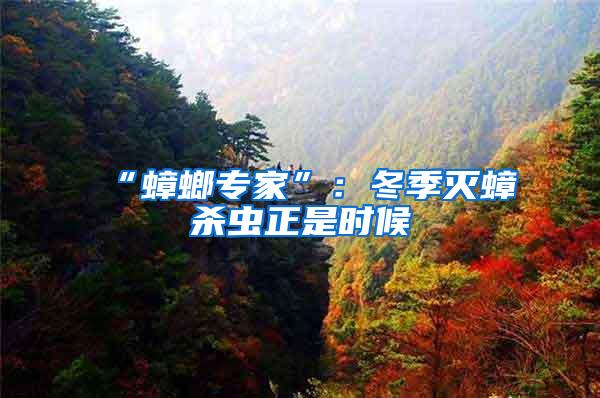 “蟑螂專家”：冬季滅蟑殺蟲正是時(shí)候