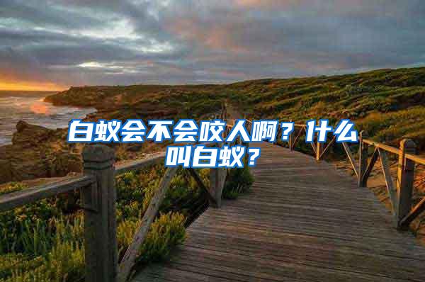 白蟻會不會咬人啊？什么叫白蟻？