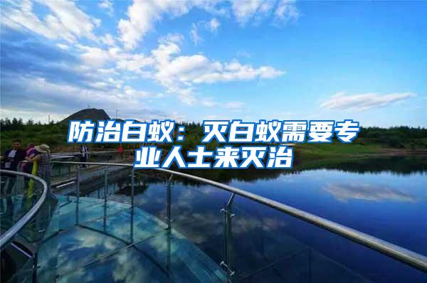 防治白蟻：滅白蟻需要專業人士來滅治