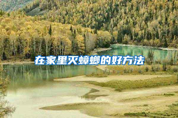 在家里滅蟑螂的好方法