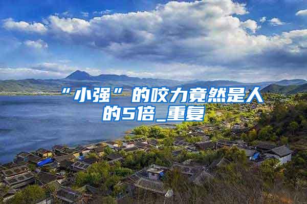 “小強”的咬力竟然是人的5倍_重復
