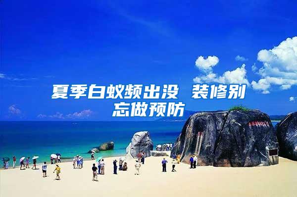 夏季白蟻頻出沒 裝修別忘做預防