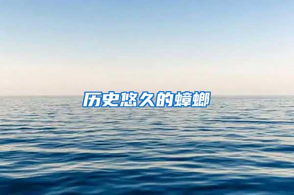 歷史悠久的蟑螂