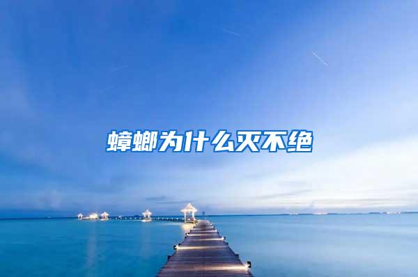 蟑螂為什么滅不絕