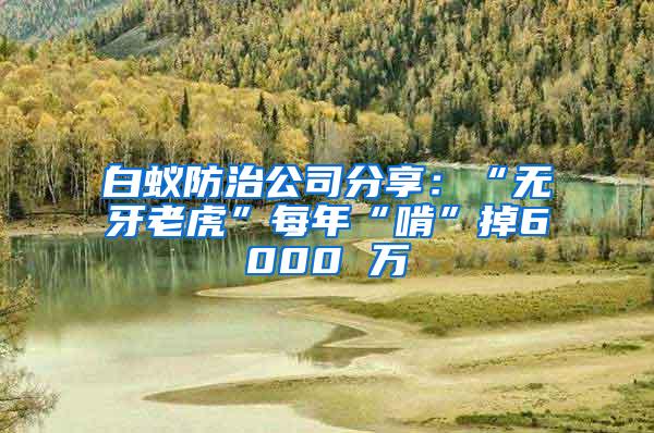 白蟻防治公司分享：“無牙老虎”每年“啃”掉6000 萬