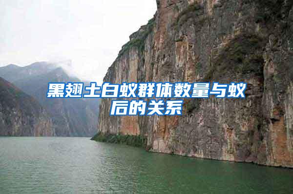 黑翅土白蟻群體數量與蟻后的關系
