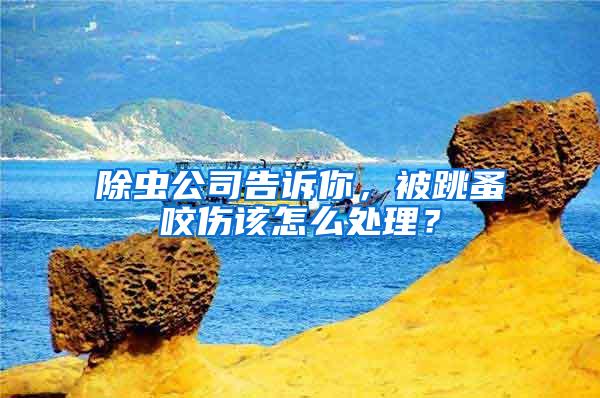 除蟲(chóng)公司告訴你，被跳蚤咬傷該怎么處理？