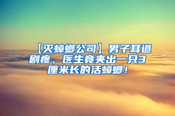 【滅蟑螂公司】男子耳道劇疼，醫生竟夾出一只3厘米長的活蟑螂！