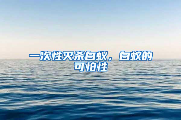 一次性滅殺白蟻，白蟻的可怕性