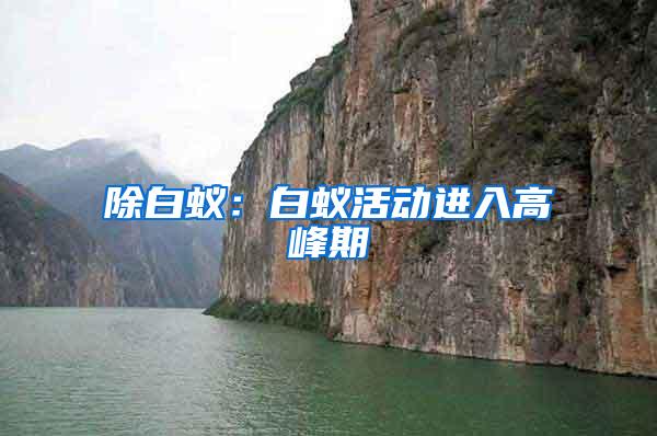 除白蟻：白蟻活動(dòng)進(jìn)入高峰期