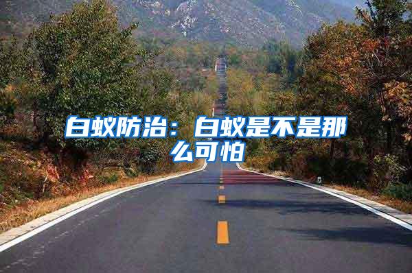 白蟻防治：白蟻是不是那么可怕