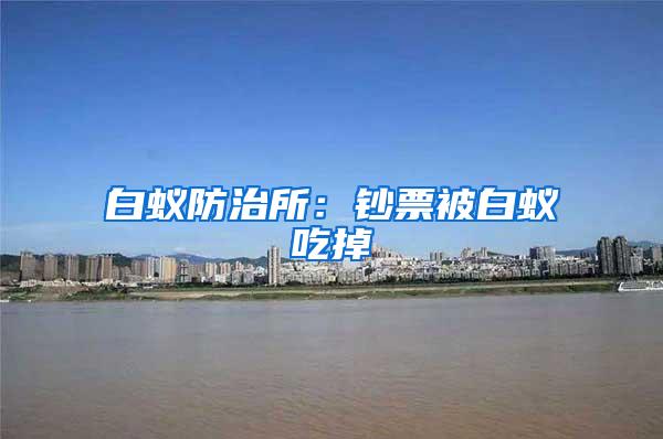白蟻防治所：鈔票被白蟻吃掉