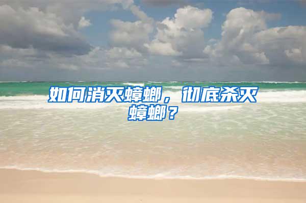 如何消滅蟑螂，徹底殺滅蟑螂？