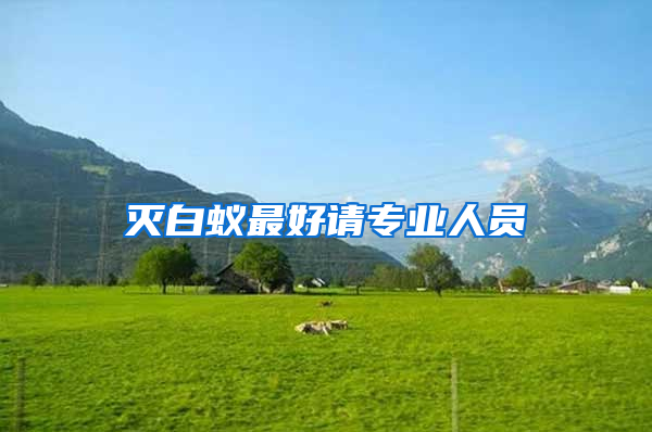 滅白蟻最好請專業人員